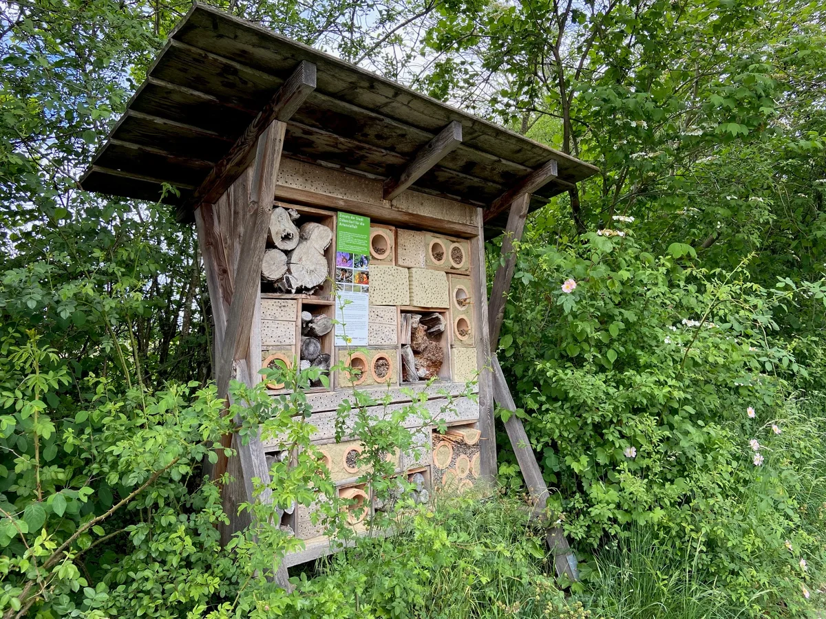 Ein Wildbienenhotel mit unterschiedlich grossen Schlupflöchern.